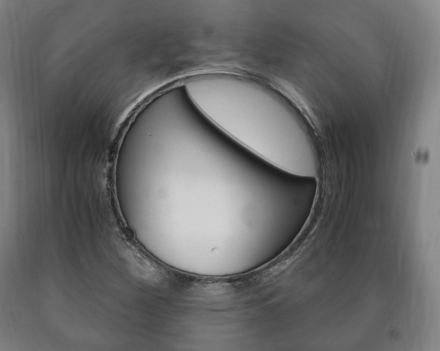 X0000090901260200707301004