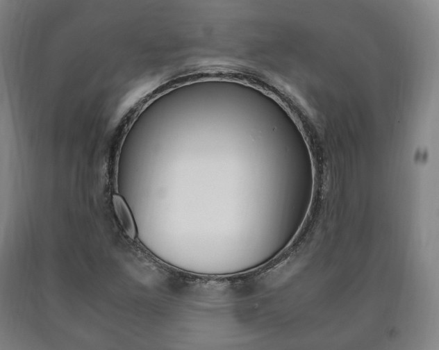 X0000090901261200707301004