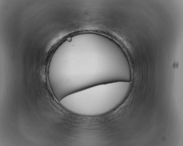 X0000090901262200707301004