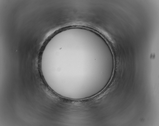 X0000090901264200707301004