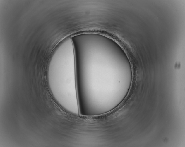 X0000090901265200707301004