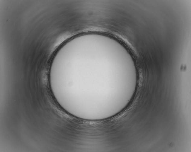 X0000090901266200707301004