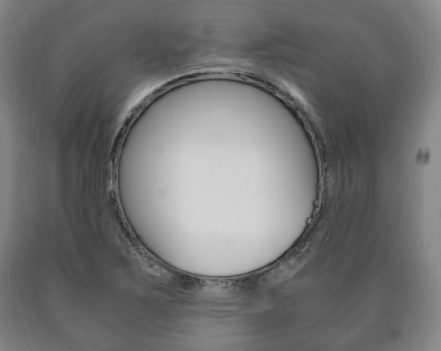 X0000090901267200707301004