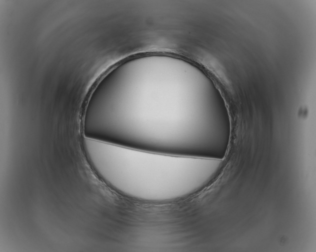 X0000090901268200707301004