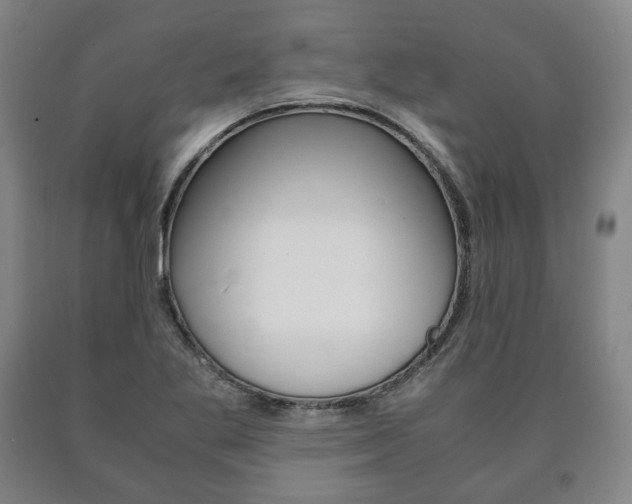 X0000090901269200707301004