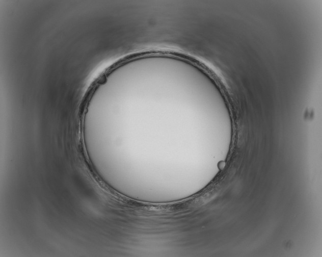X0000090901271200707301004