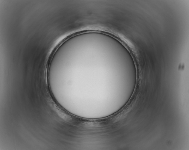 X0000090901272200707301004