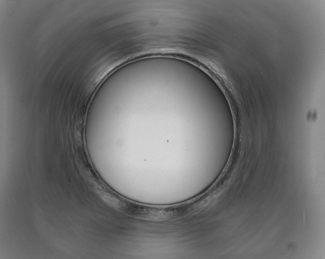 X0000090901273200707301004