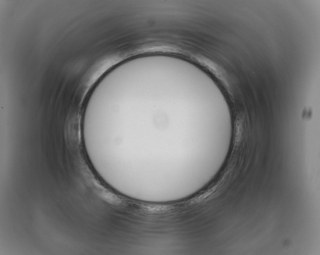 X0000090901274200707301004