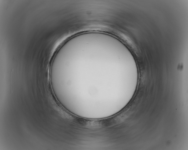 X0000090901275200707301004