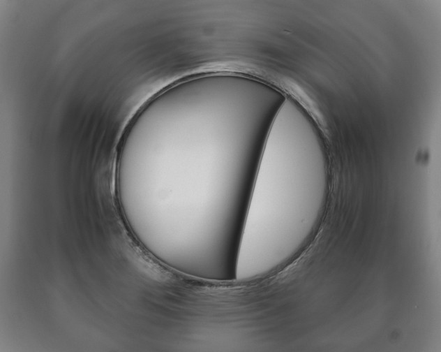 X0000090901276200707301004