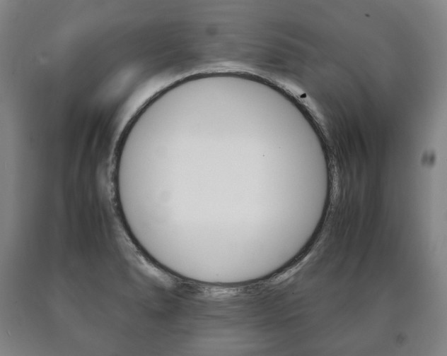 X0000090901278200707301004