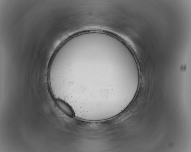 X0000090901279200707301004