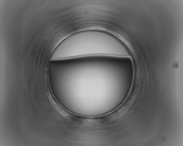 X0000090901281200707301004