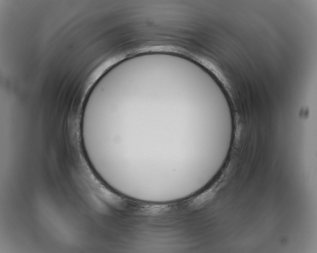 X0000090901282200707301004