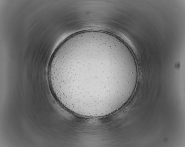 X0000090901283200707301004