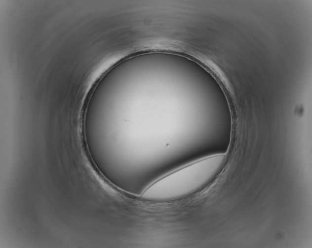 X0000090901285200707301003