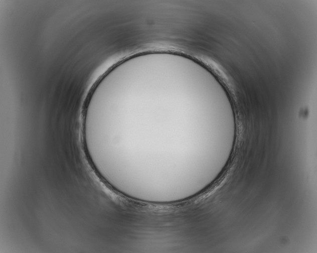 X0000090901286200707301003
