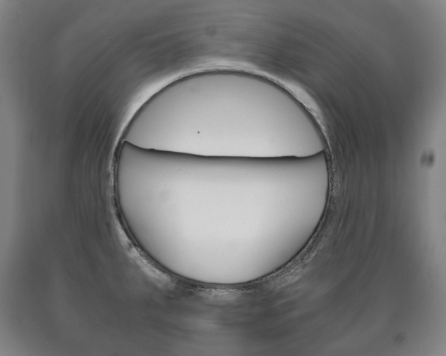 X0000090901287200707301003