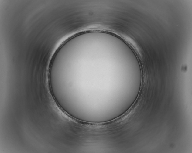 X0000090901288200707301003