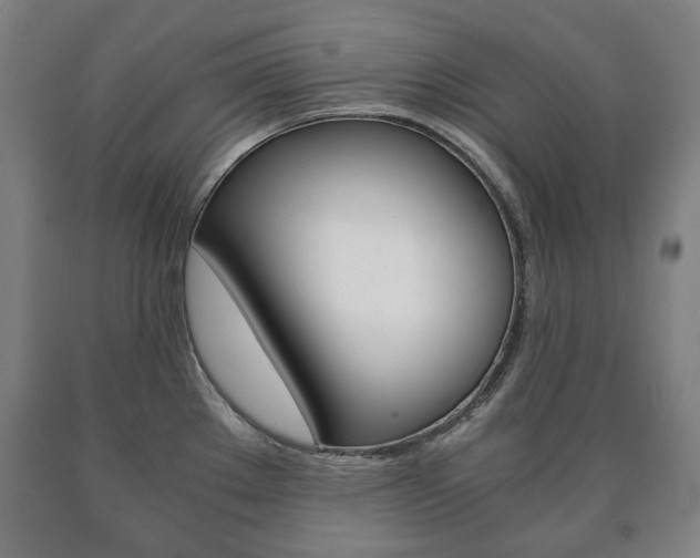 X0000090901289200707301003