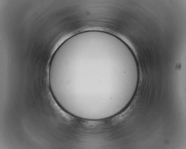 X0000090901290200707301003