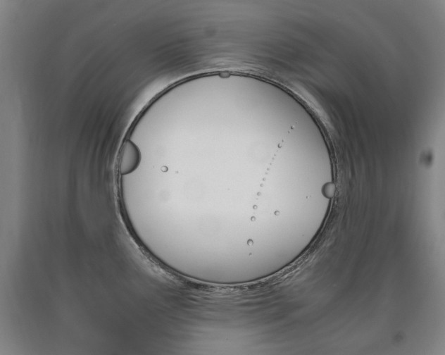 X0000090901291200707301003