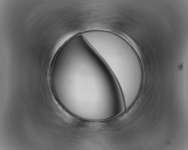 X0000090901293200707301003