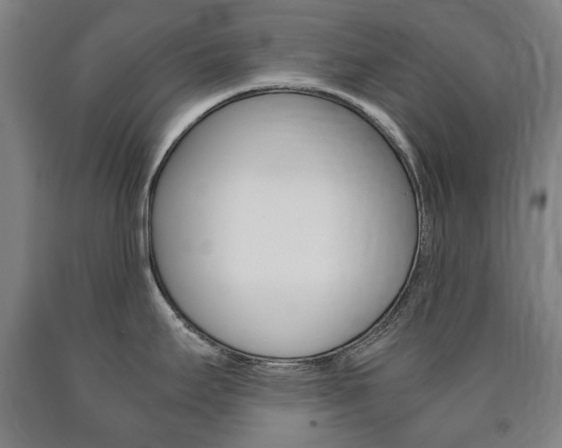 X0000090901295200707301003