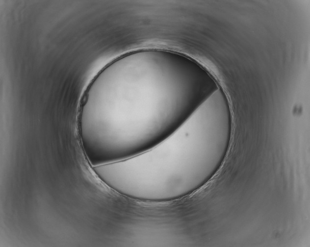 X0000090901296200707301003