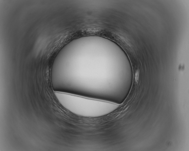 X0000090901299200707301003