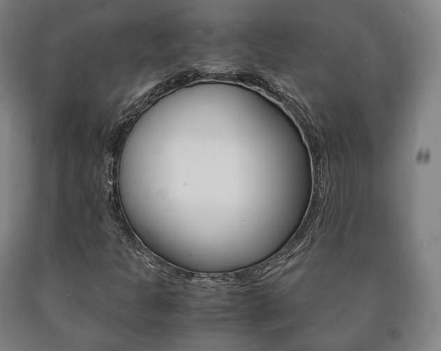 X0000090901301200707301003