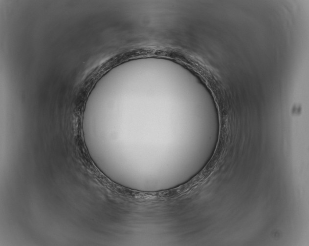 X0000090901302200707301003