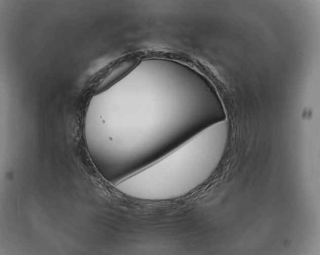 X0000090901303200707301003