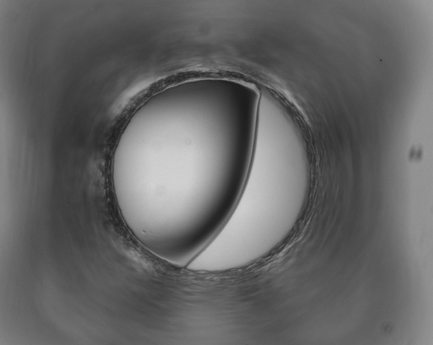X0000090901304200707301003