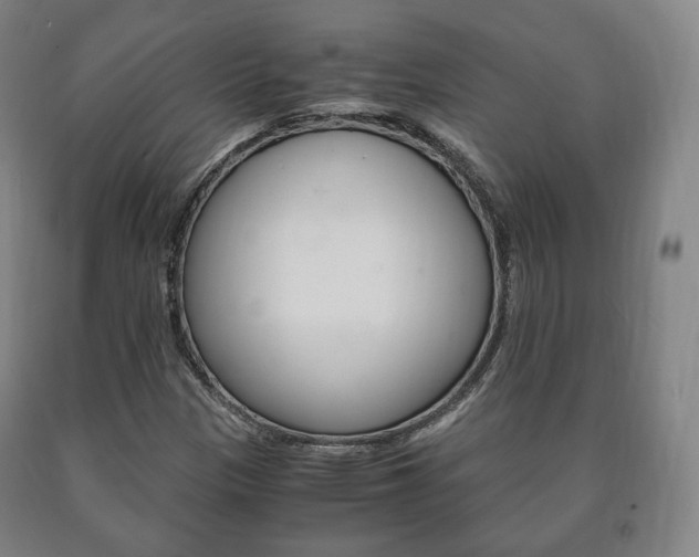 X0000090901305200707301003