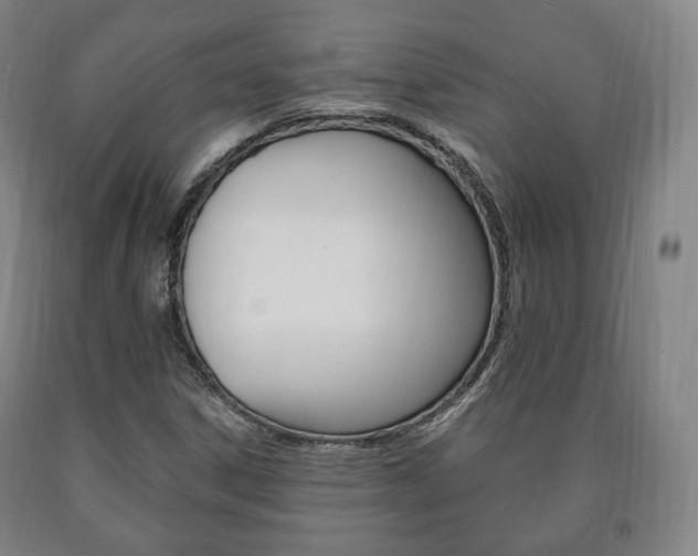 X0000090901306200707301003