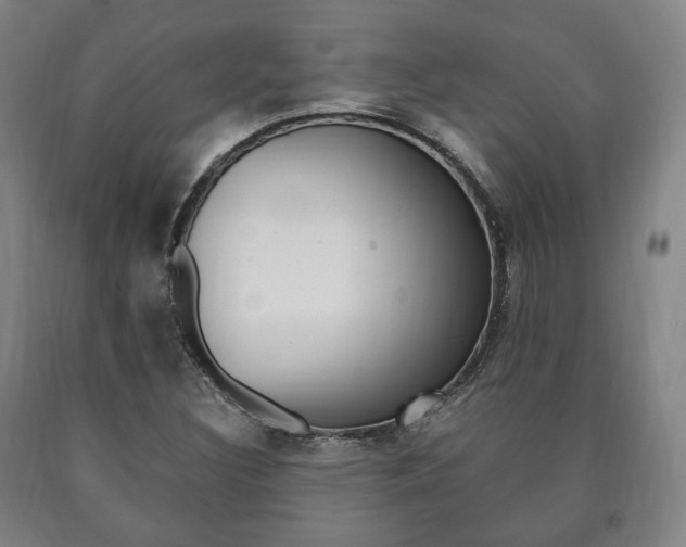 X0000090901308200707301003