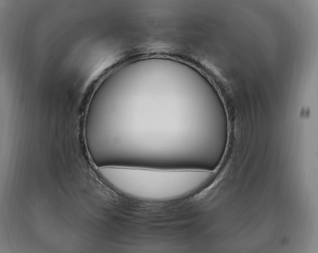 X0000090901309200707301003