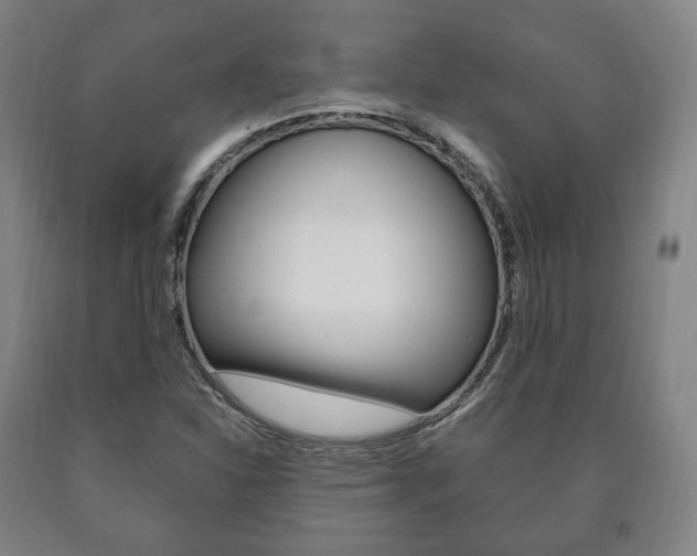 X0000090901310200707301003