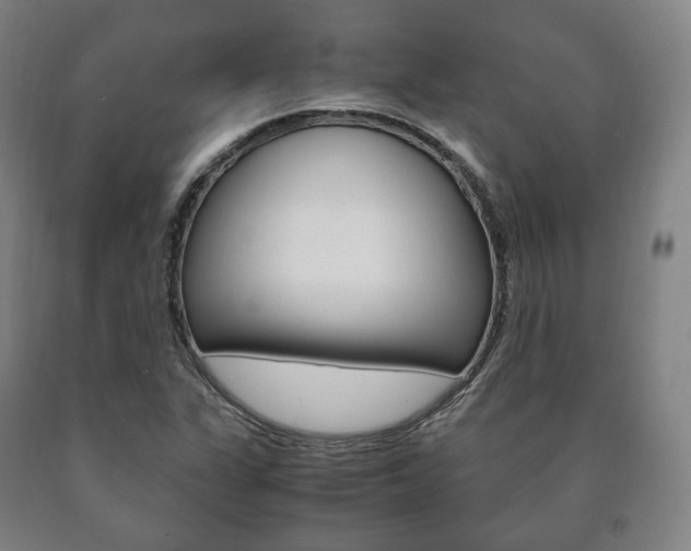 X0000090901311200707301003