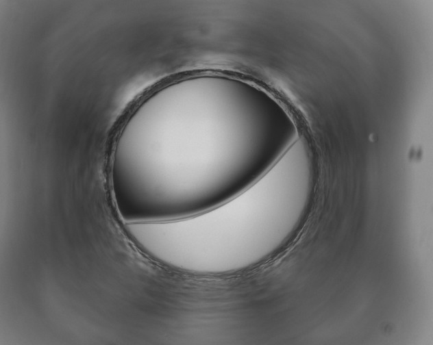 X0000090901312200707301003