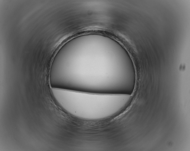 X0000090901313200707301003
