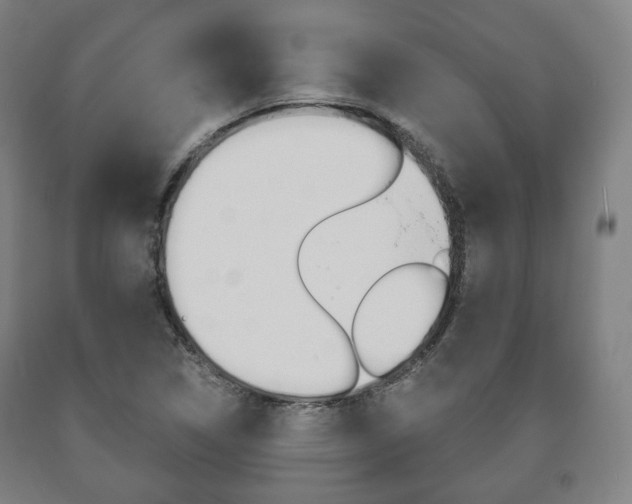 X0000090901314200707301003