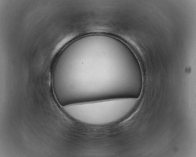 X0000090901317200707301003
