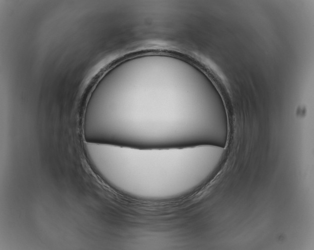 X0000090901318200707301003