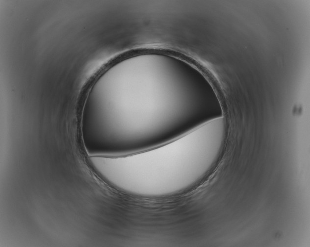 X0000090901319200707301003