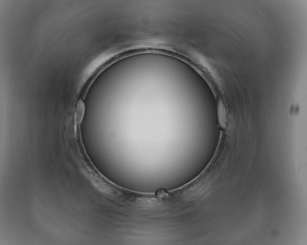 X0000090901320200707301003
