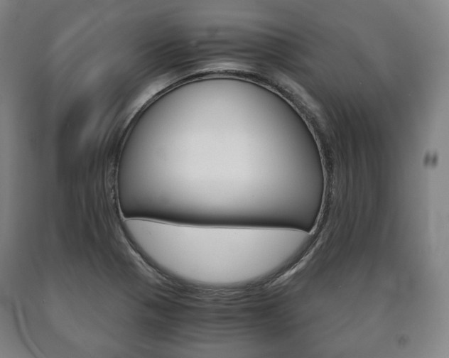 X0000090901321200707301003