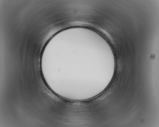 X0000090901322200707301003